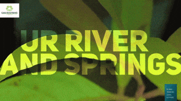 Gaviaozinho Farm GIF