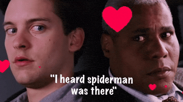 I Heard Spiderman Was There GIF