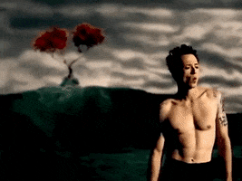 music video rock GIF by Stone Temple Pilots