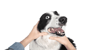 Lalo Gilling Sticker