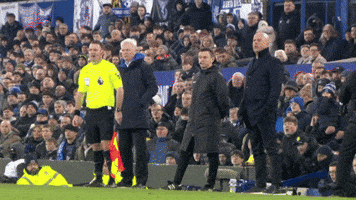 Premier League Win GIF