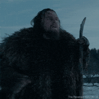 The Revenant Leonardo Dicaprio GIFs - Find & Share on GIPHY
