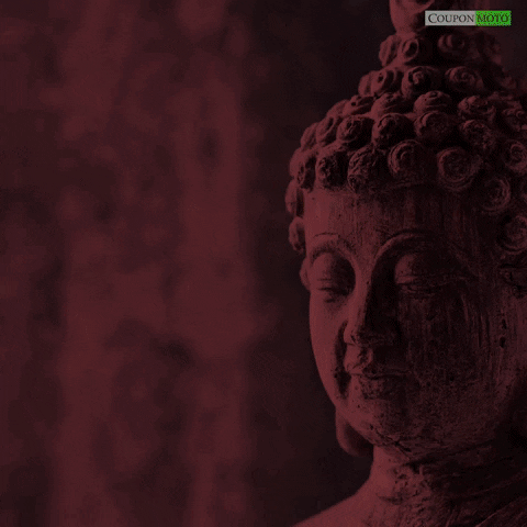 90+ Buddha Video Templates Download | After Effect Templates MP4 Free  Download - Pikbest