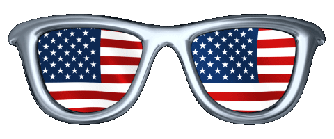 Usa Glasses Sticker by Omer for iOS & Android | GIPHY