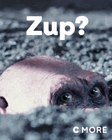 planet of the apes bad ape GIF by TV4