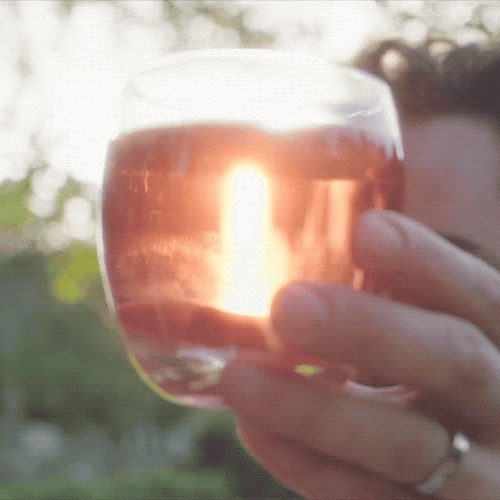 Apple Cider Drink GIF by Angry Orchard - Find & Share on GIPHY