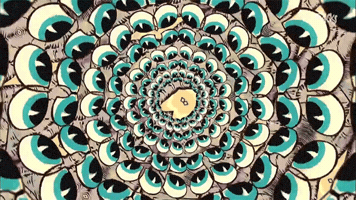 GIF by Tracks ARTE