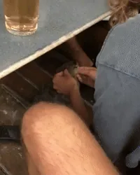 https://media3.giphy.com/media/246TAiZvGoewMQkcnj/200w.webp