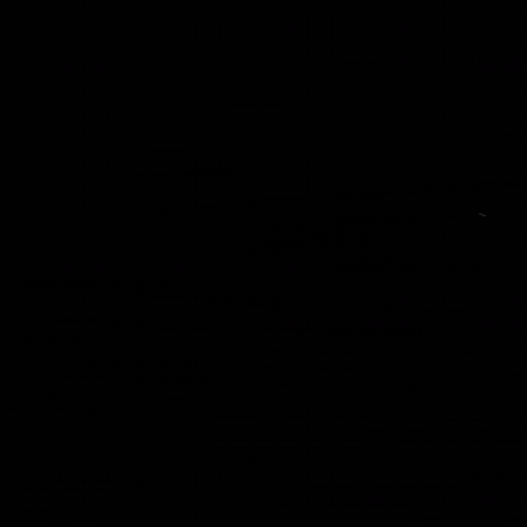 Rock Festival GIF by janto film GmbH
