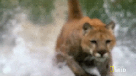 source.gif