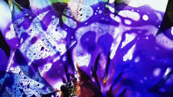 video art gif artist GIF