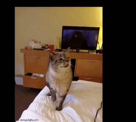 Sneeze Sneezing GIF - Find & Share on GIPHY