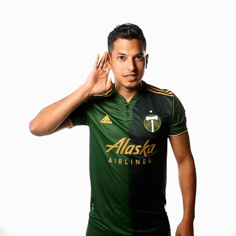 Speak Up Lets Go GIF by Timbers