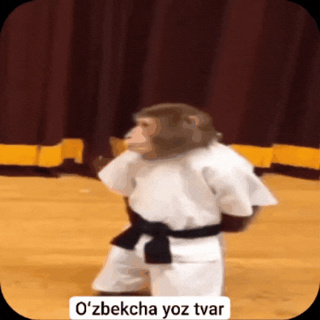 Karate GIF