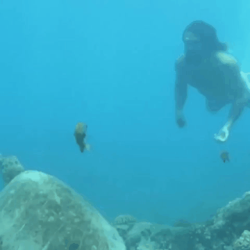 Aquaman20072018 GIF