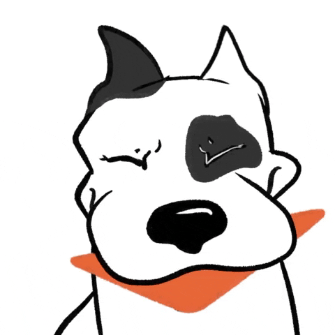 askpivot dog doggo dog playing chew toy GIF