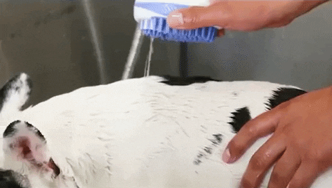 CutifyPets™ Pet Washing Brush