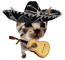 Independence Day Cat Sticker