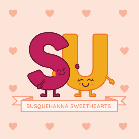 Valentines Day Love GIF by Susquehanna University