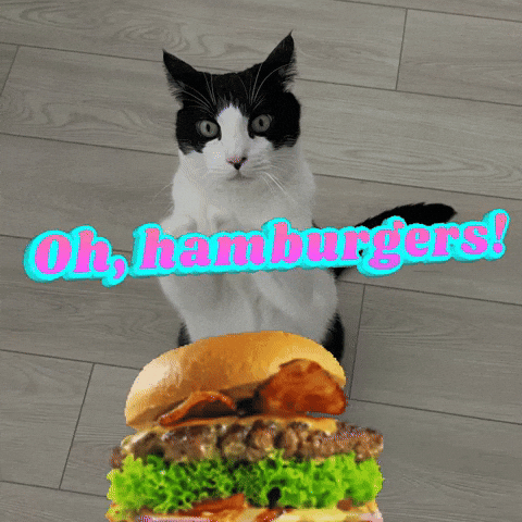 South Park Cat GIF