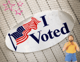 i voted vote GIF