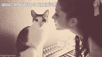 onemanstories onemanstories GIF