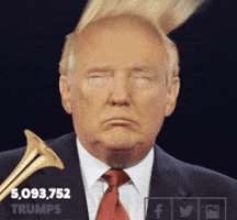 Comb Over Donald Trump GIF
