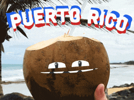 happy puerto rico GIF by Ethan Barnowsky