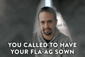 comedy central flag GIF by Inside Amy Schumer