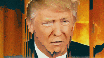 trump GIF by u̶͛͗̽ n̵͇ͨ g̵̼͂ l̵᷅ t̵̄ c̵̃͘ h̵͚ m̵͇͑e͔