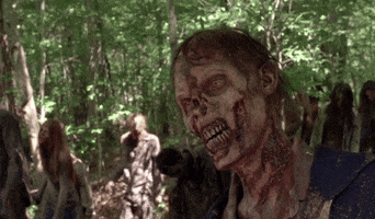 The Walking Dead Zombie GIF by netflixlat