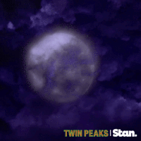 twin peaks GIF by Stan.