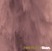 twin peaks GIF by Stan.