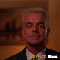 twin peaks GIF by Stan.