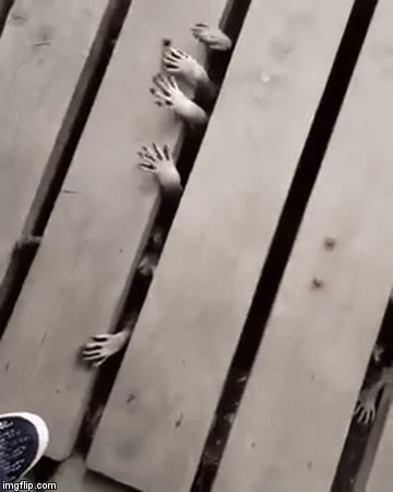 Hands Disturbing GIF by MOODMAN - Find & Share on GIPHY