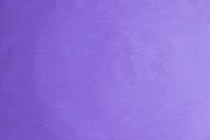 feline  GIF