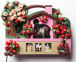 jeromebertrand art photography multimedia jeromebertrand GIF