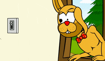 Happy Rabbit GIF by Estudios Animeco