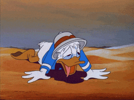 Disney gif. Wearing a pith helmet in the desert, an exhausted Donald Duck is on his hands and knees, sweating and panting with his tongue hanging out.
