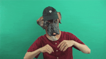 Snoop Dogg Dancing GIF by Transparent Feed