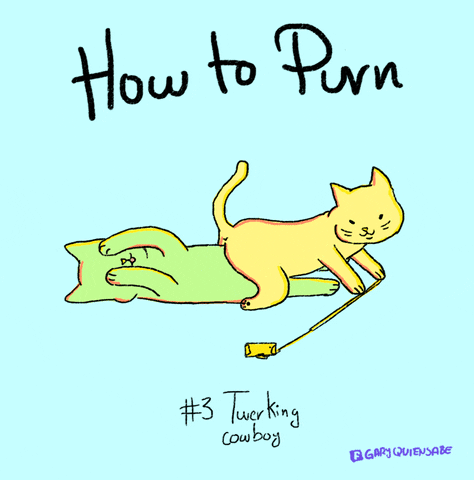 garyquiensabe kitty twerk twerking cat, GIF