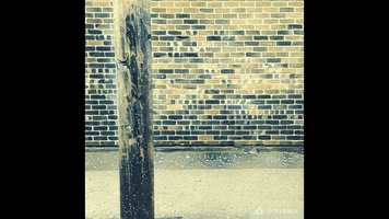 clive  GIF