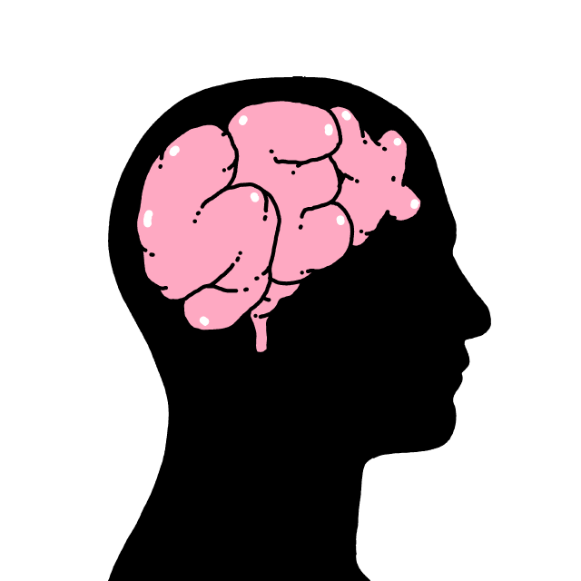 Digital art gif. The solid black profile of a human head hosts a pink brain that spells out the word, "Sex."