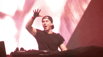 Dance Hands GIF by Hardwell