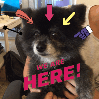 Julio We Are Here GIF by GIPHY CAM