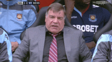 sam allardyce england GIF