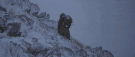 200.gif?cid=fc005b08b06a66abdf38b653b57d1aab534bbd4c2e023498&rid=200.gif&ct=g