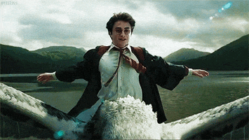 Harry Potter GIFs - Get the best GIF on GIPHY