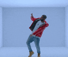 Canadian Drake GIF by Vulture.com