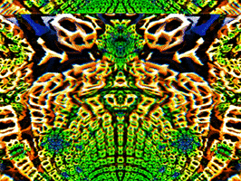 200.gif?cid=fc005b08f60f8f140e1b5680b9cab62b6797d62df3c574ce&rid=200.gif&ct=g